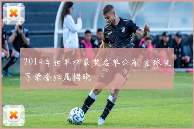 2014年世界杯获奖名单公布 金球奖等荣誉归属揭晓