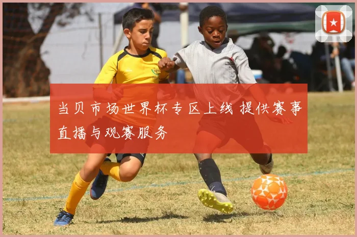 当贝市场世界杯专区上线 提供赛事直播与观赛服务
