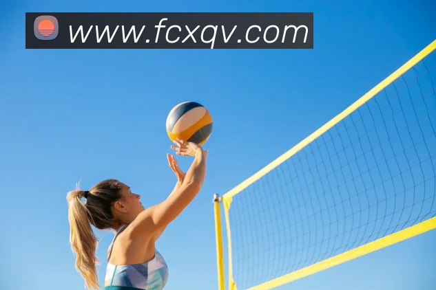 半岛网官网登录入口APP 高清赛事图